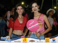 Festa do Boi Malandro
